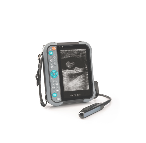 M5V Waterproof Palm-size Ultrasound Scanner