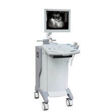 Load image into Gallery viewer, Medical Scan Ultrasonic, Probe Transducer Ultrasonic, Digital Machine Ultrasonic Scan