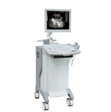 Medical Scan Ultrasonic, Probe Transducer Ultrasonic, Digital Machine Ultrasonic Scan