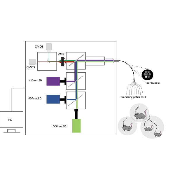 R820 Tricolor Multichannel Fiber Photometry System
