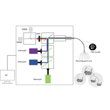 Load image into Gallery viewer, R820 Tricolor Multichannel Fiber Photometry System