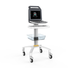 Cargar imagen en el visor de la galería, Portable Laptop type Full Digital Color Doppler Ultrasound System