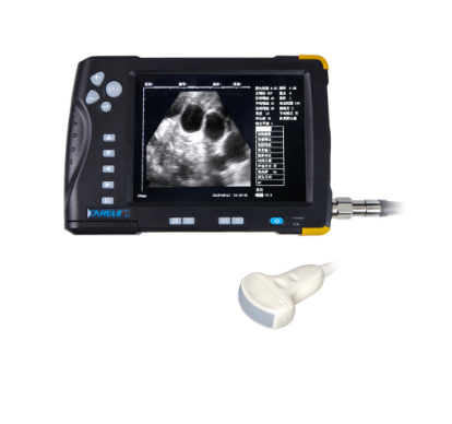 Portable ultrasound machine for veterinary ultrasound for Bovine Equine with rectal probes