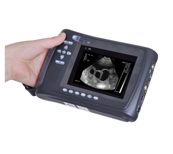Dog Cat Sheep Handheld Good Quality Portable Vet Ultrasound Machine UEM-2018V