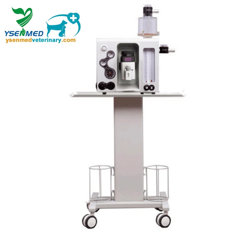 Animal Anesthesia Machine with Ventilator