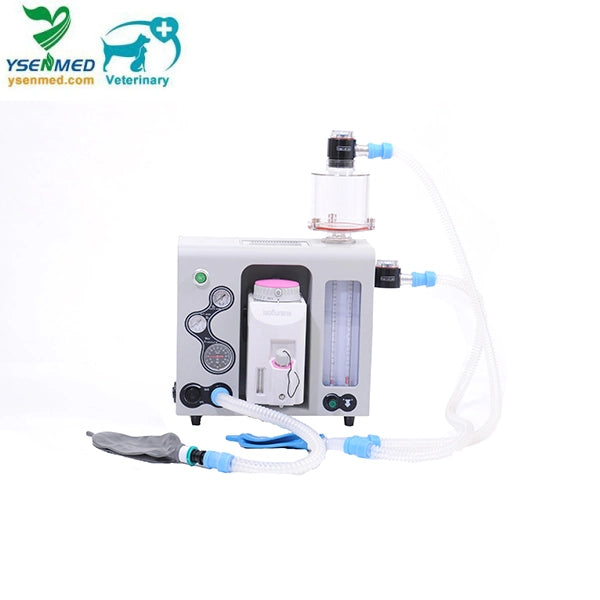 Animal Anesthesia Machine with Ventilator
