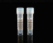 Cargar imagen en el visor de la galería, Techstar Nucleic Acid DNA/Rna Purification Kit UEMS905-96