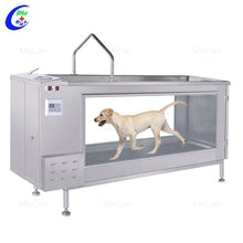 Cargar imagen en el visor de la galería, Dog Treadmill Pet Hydrotherapy Treadmill Dog Underwater Treadmill