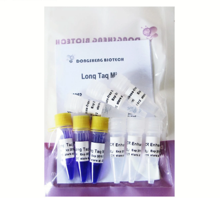 Premixed Ready-to-Use Solution Long Taq Mix PCR Master Mix