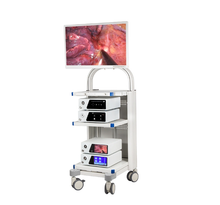 Load image into Gallery viewer, 4K Endoscope Camera Medical Equipment UEM960