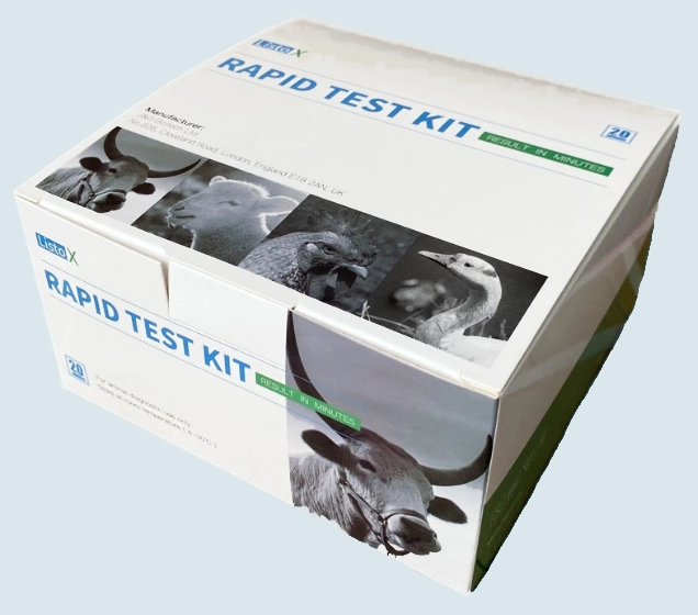 Bird Disease Avian Salmonella Spp. Antigen Rapid Test