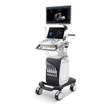 P10 Ultrasound Solutions with Flexibility