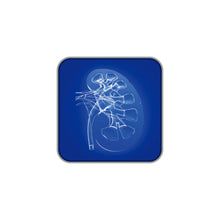 Cargar imagen en el visor de la galería, UF30 Surgery Instruments Medical and Clinical Application Uretero Renoscope with HD Camera