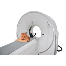 Cargar imagen en el visor de la galería, Veterinary Equipment 32 Slice CT System for Animals Hospital Ysct-32D Vet