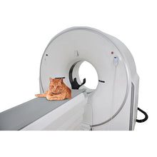 Load image into Gallery viewer, Veterinary Equipment 32 Slice CT System for Animals Hospital Ysct-32D Vet