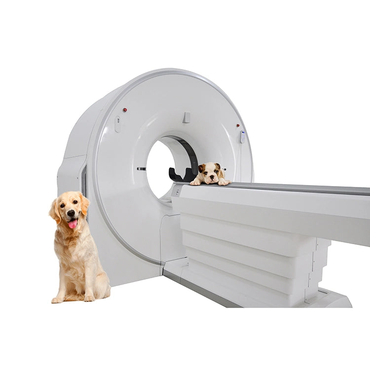 Veterinary Equipment 32 Slice CT System for Animals Hospital Ysct-32D Vet