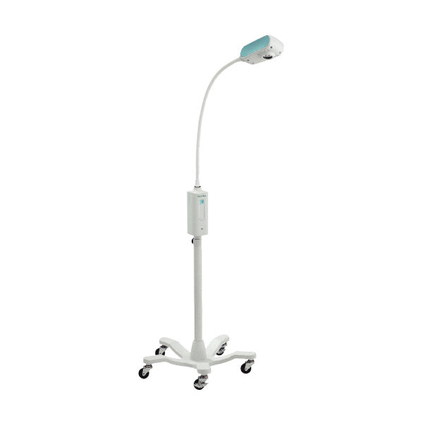 GS 300 General Exam Light