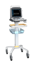 Cargar imagen en el visor de la galería, Portable 12.1 inch screen B/W Ultrasound Scanner with PW function Ultrasonic Scanner Ultrasound machine