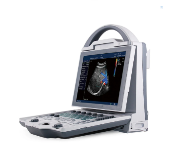 in-A12 Medical Portable Laptop Veterinary Ultrasound Color Doppler Ultrasonic Scanner & 12 Inch LED Screen with Cheap Price